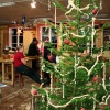 Jul i tr�huset